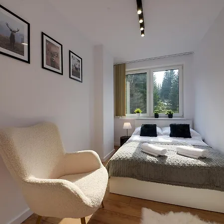 Rentplanet - Zeromskiego *