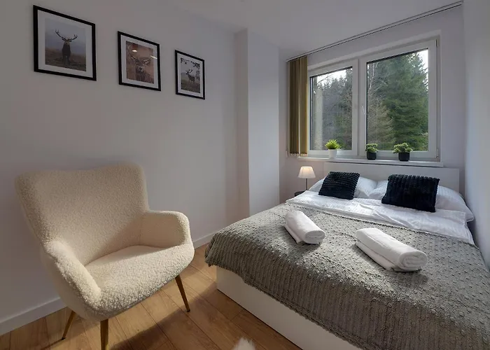 Rentplanet - Zeromskiego Apartment Schreiberhau