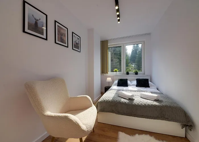 Rentplanet - Zeromskiego *